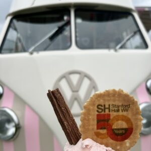 Florence at Stanford hall 50th VW show