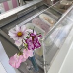 Polly's Parlour "Matilda" Scoop