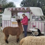 Rod & Alpaca Matilda Polly's Parlour